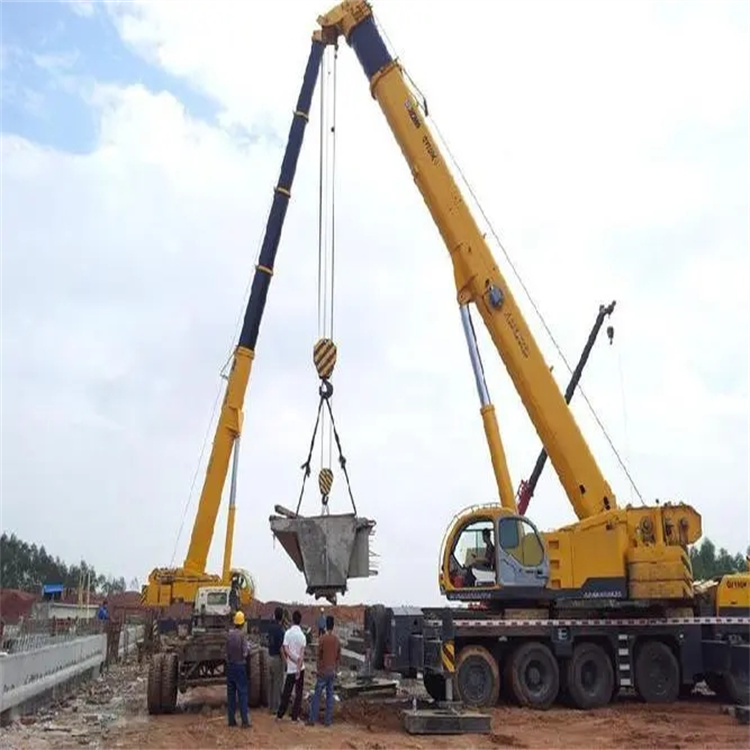 明光小型吊机出租电话|厂房设备吊装方案|24小时服务覆盖